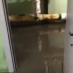 Потоп в подвале в Кобрине