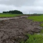 Сливают навоз в реку