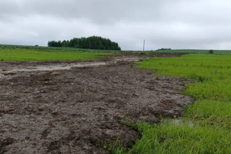 Сливают навоз в реку