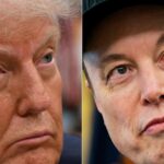 Дональд Трамп и Илон Маск