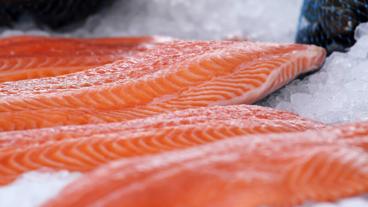 Филе лосося на льду