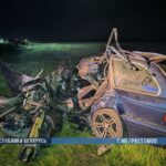 BMW E39 ДТП в Житковичском районе