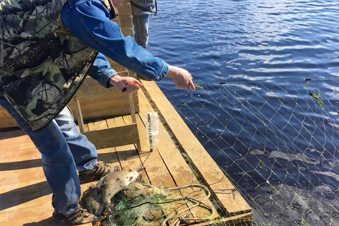 Мужчина достаёт из воды рыболовную сеть с пойманной рыбой на деревянном мостике озера.