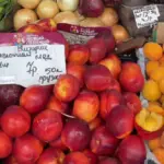 Цены в Таборах 1 августа 2025