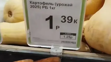 Картофель дешевеет