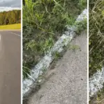 Белая дорожная линия, нанесённая не только на асфальт, но и на обочину: по траве, земле и песку.