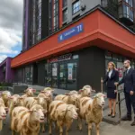 грань будущего