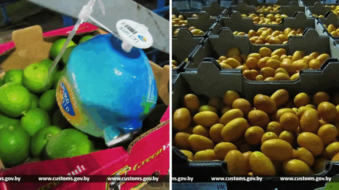 лайм, кокос в коробках