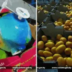 лайм, кокос в коробках