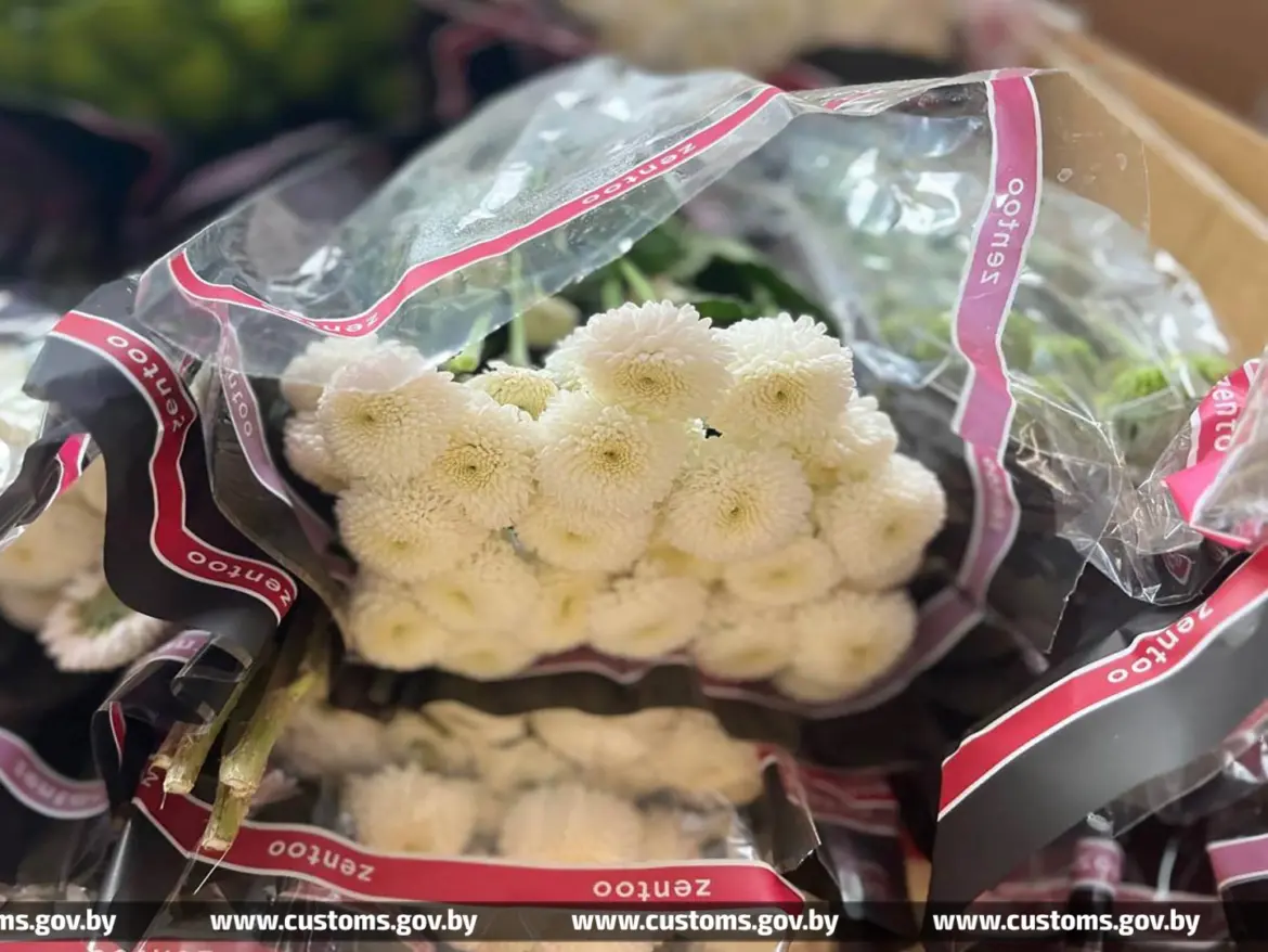 Упаковки с белыми хризантемами и другими цветами, конфискованные таможней.