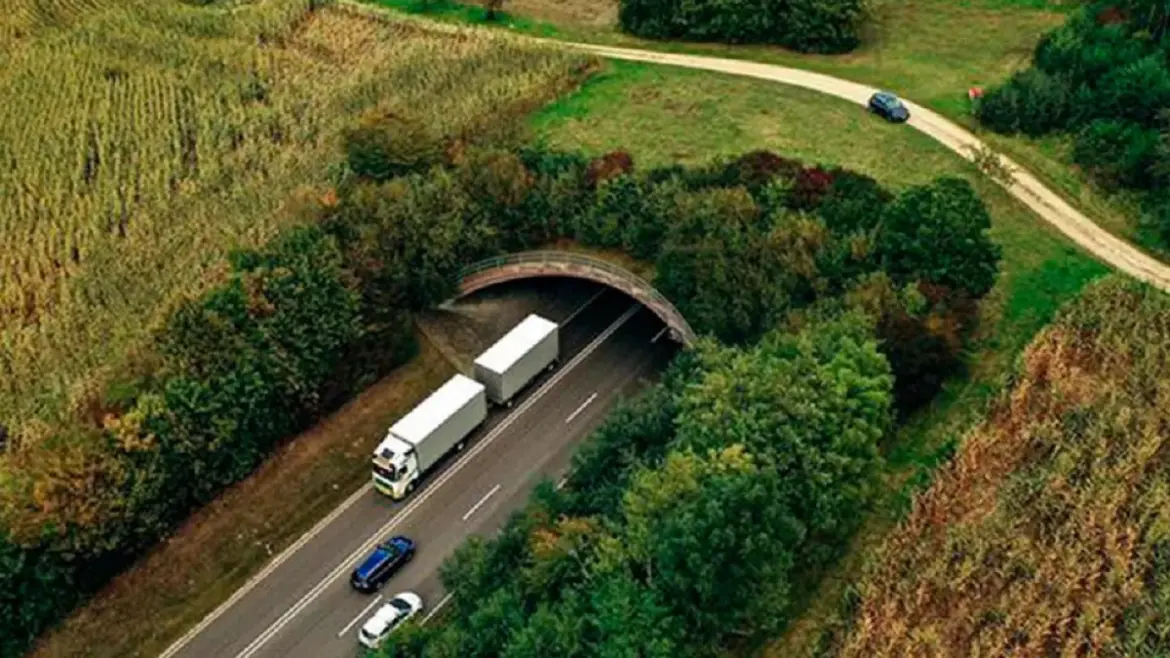 Переход для животных