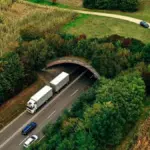 Переход для животных