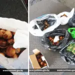 цветы задержанная на границе