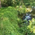 Утонул рыбак