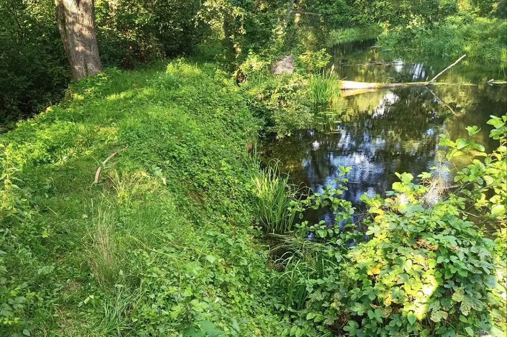 В Кобрине рыбак утонул в реке Мухавец Утонул рыбак