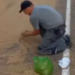 Зерно рассыпалось на дорогу