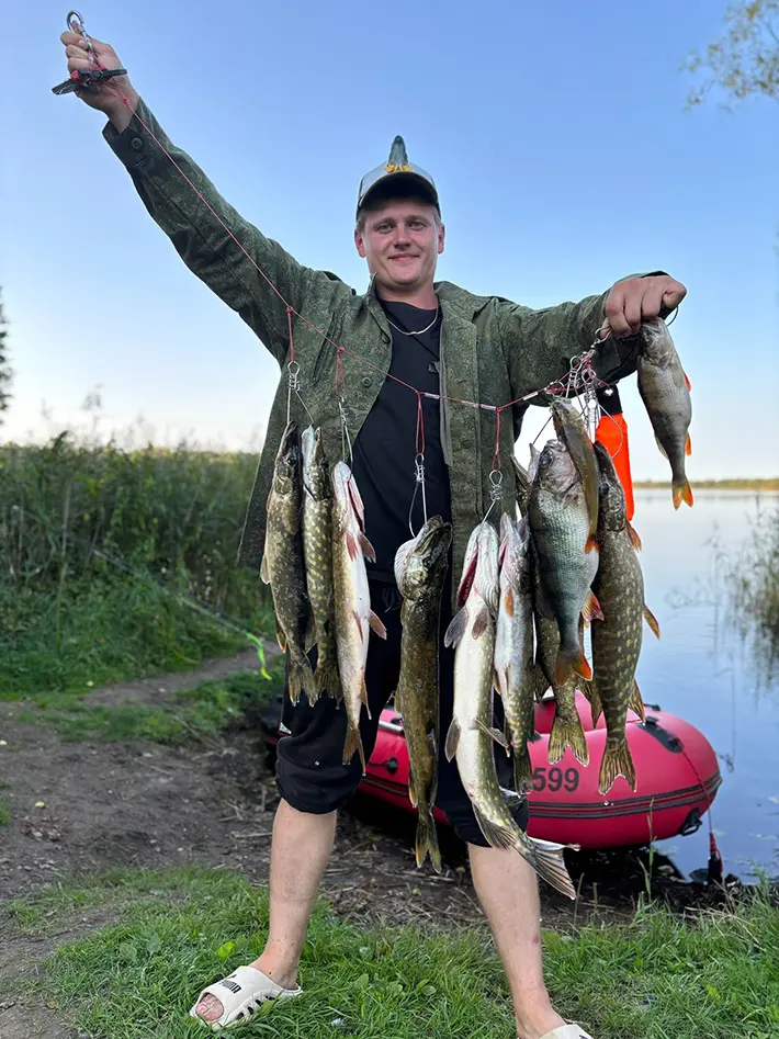 рыболов с уловом щук и окуней на берегу