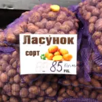 картофель в мешках