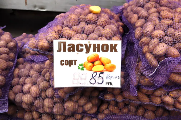 картофель в мешках