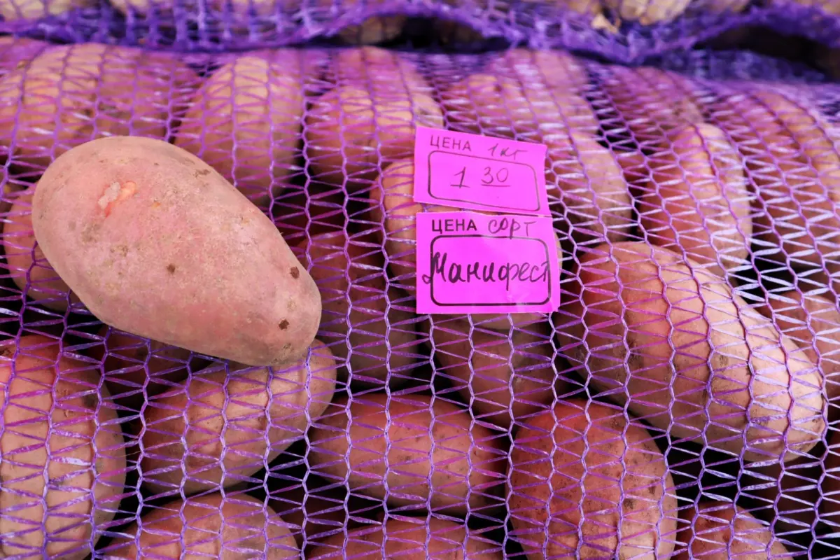 картофель в мешках 