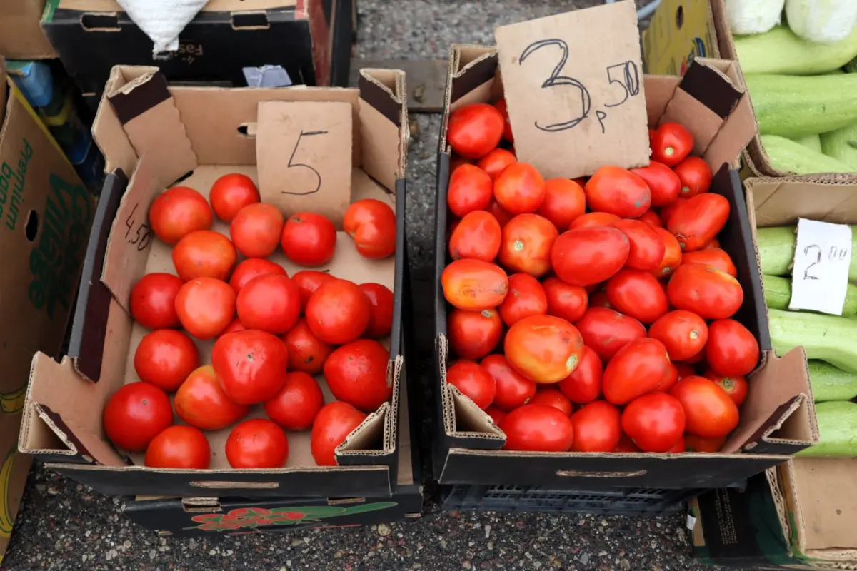 помидоры в коробках
