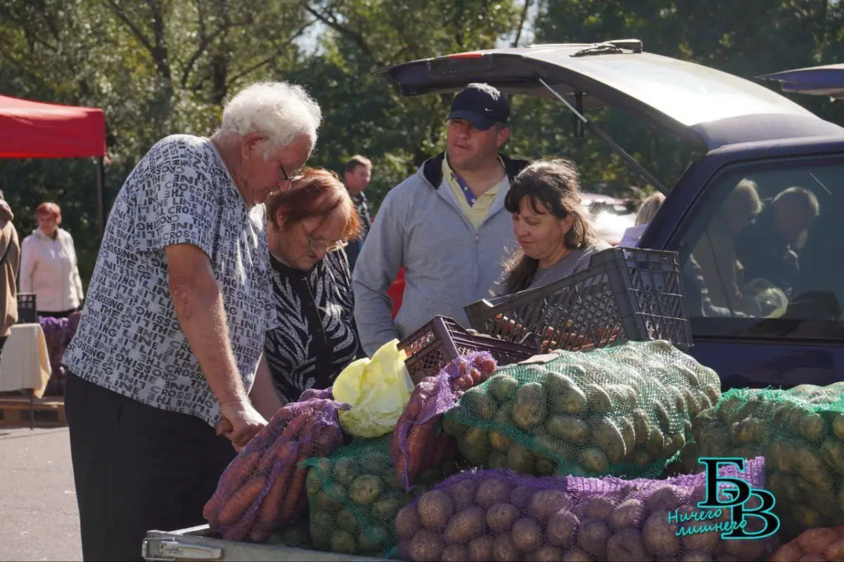 люди выбирают картофель