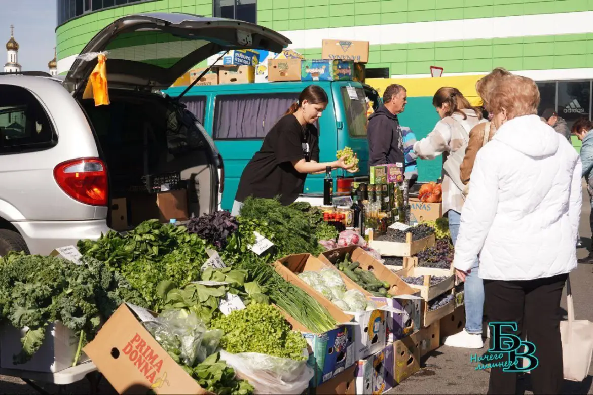 Как в Бресте и Столине разбирали яблоки и мёд за минуты