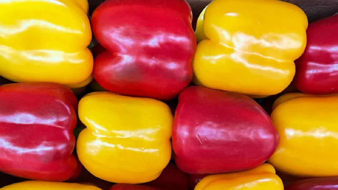 Овощи дешевеют: цены на рынке 19 сентября Цены на рынке