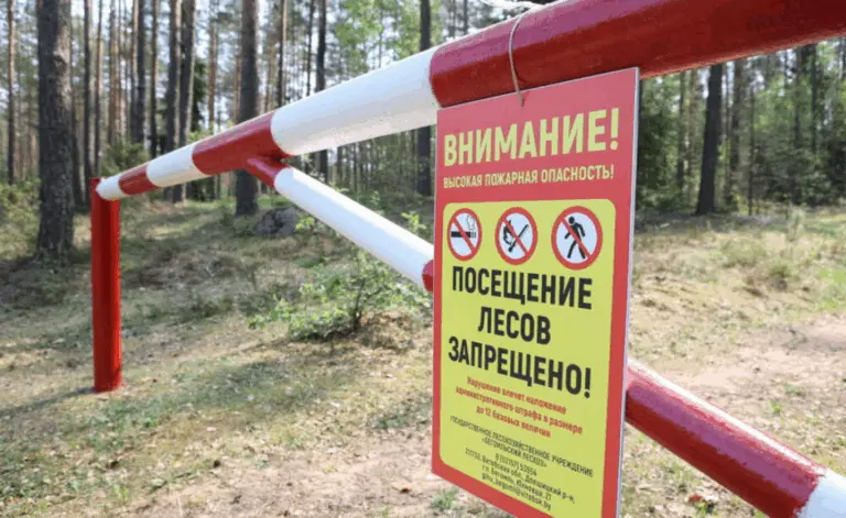 Шлагбаум с таблицей запрета посещения леса.