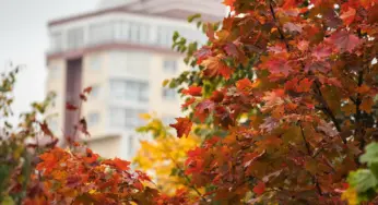 Сентябрь не сдаёт летних позиций: Беларусь ждёт тёплая неделя