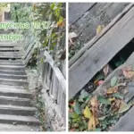 Лестница в Мозыре