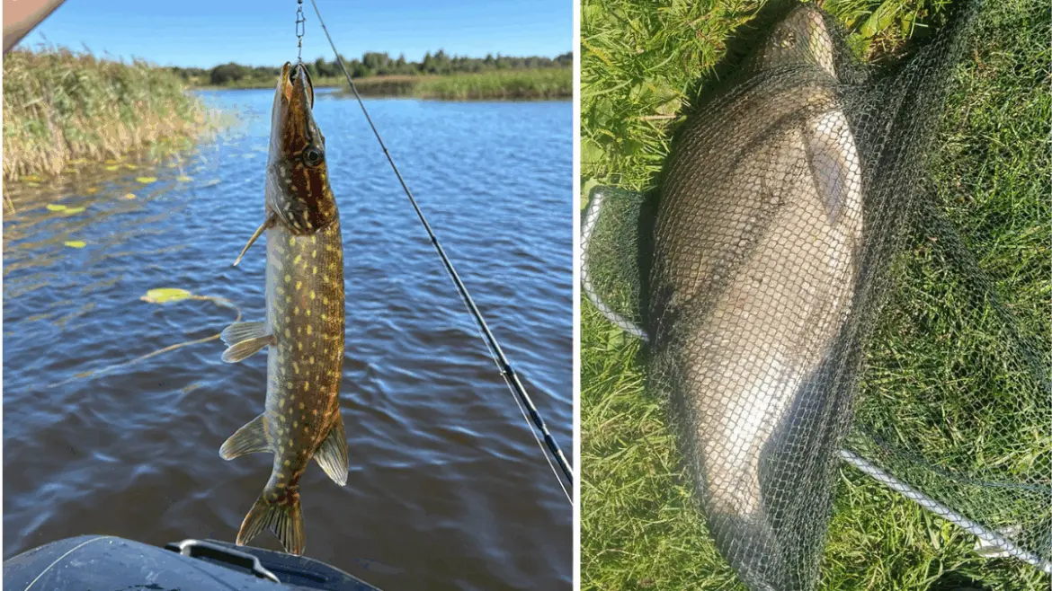 Две рыбалки – два настроения