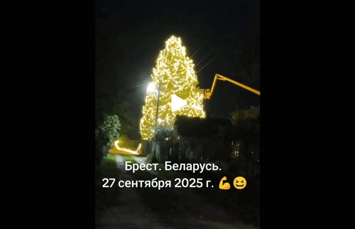 новогодняя ель