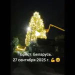 новогодняя ель