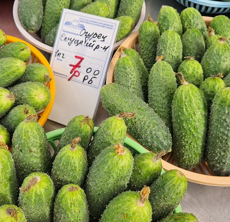 Огурцы на Комаровке