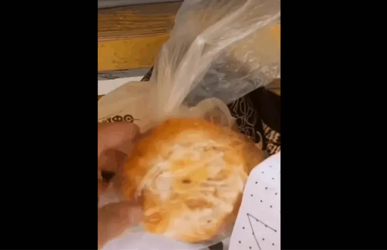 смаженка