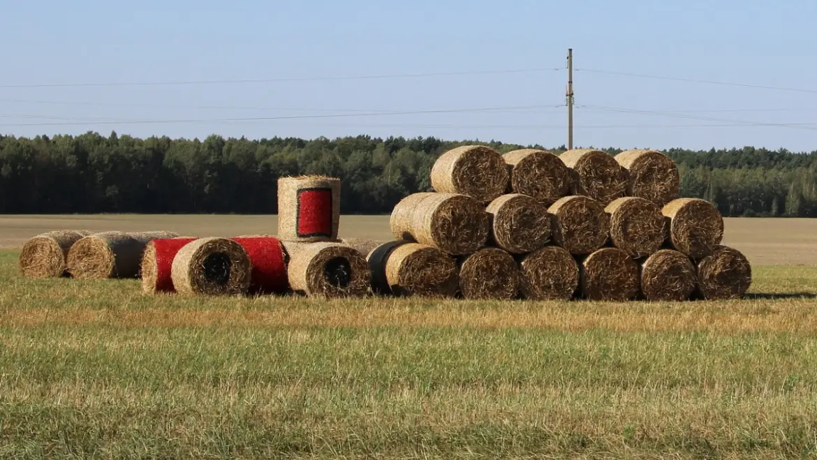Скульптура из соломы в Белоозёрске