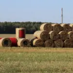 Скульптура из соломы в Белоозёрске