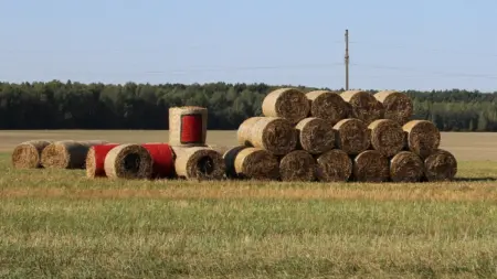 Скульптура из соломы в Белоозёрске