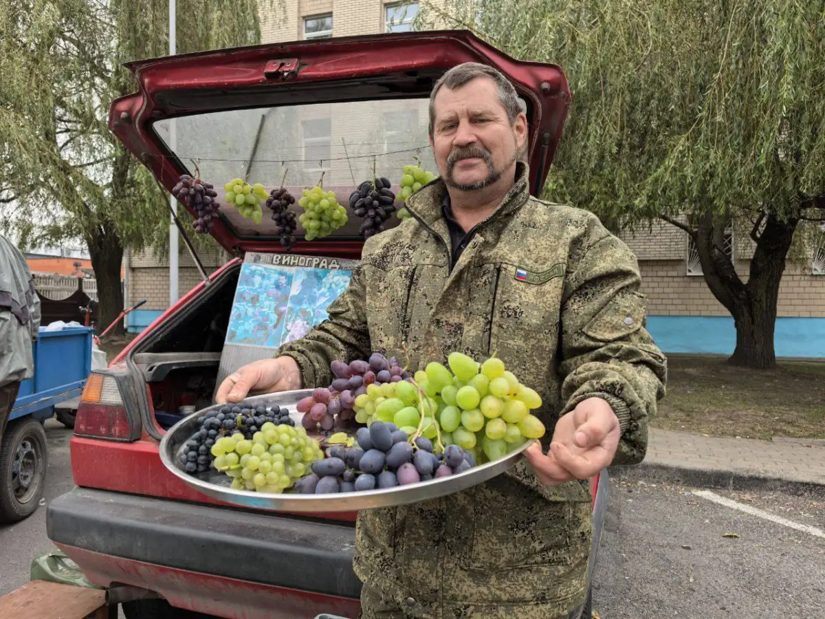 частник выставил на продажу свой виноград