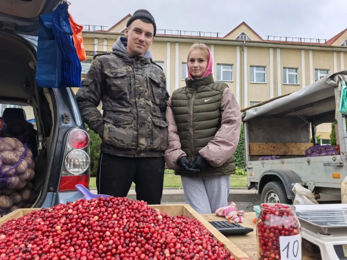 клюква нового сезона на ярмарке