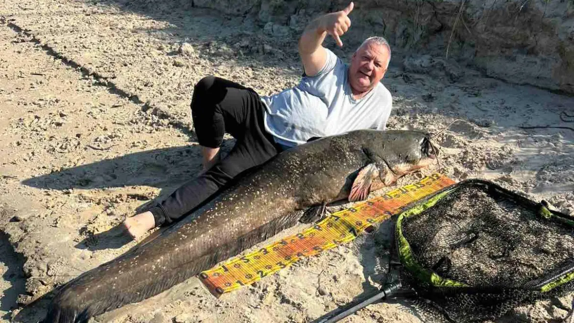 Сома поймали в Припяти