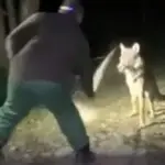 Убийство волка