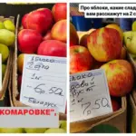 Яблоки на Комаровке