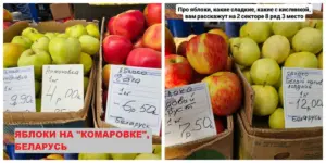 Яблоки на Комаровке