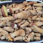 Золотистый боровик