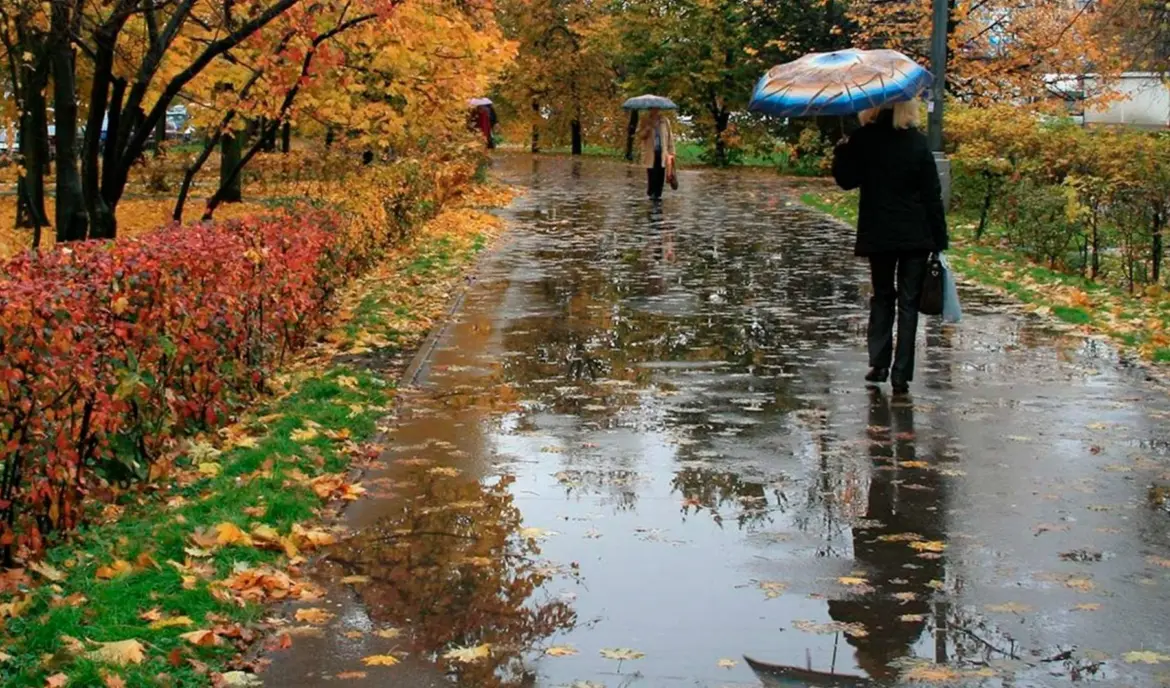 погода: дождь, осень