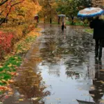 погода: дождь, осень