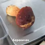 Боровик на "Комаровке"