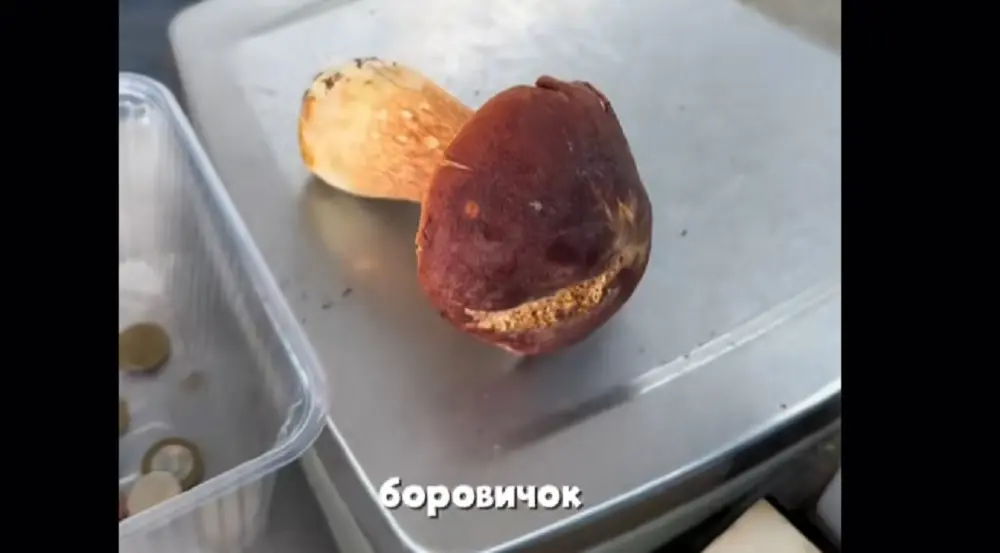 «Налоговую на них»: в TikTok спорят о цене на боровики Боровик на "Комаровке"